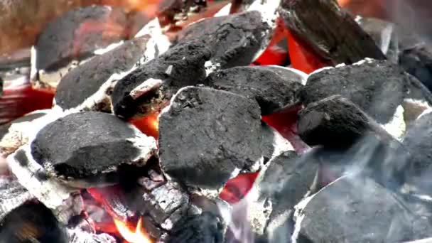 Trækul Brændende Varmt Sort Kul Fossil Energi – Stock-video