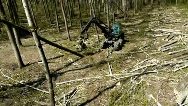 森林伐採掘削機ブラジル森林4K — ストック動画