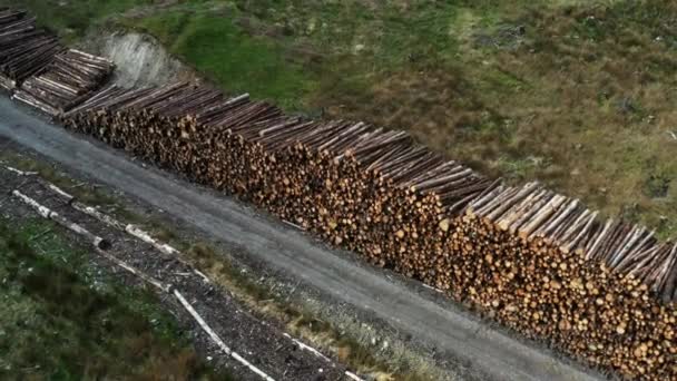 Aerial View Forest Deforestation Logging Video — Stock Video