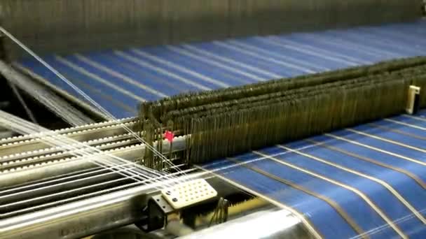 Textilindustrie Spinnmaschine Webstuhl Webfäden Arbeitet Automatisch Einer Fabrik Industrieproduktion Bei — Stockvideo