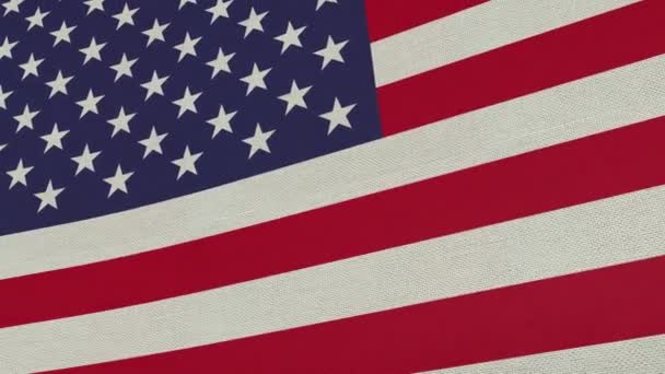 Stany Zjednoczone Flaga Kraj Narodowy Wiatr Sztandar Tło Biały Patriota — Wideo stockowe