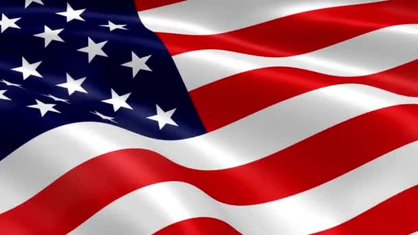 United States Flag Country National Nation Wind Banner Background White — Stock Video