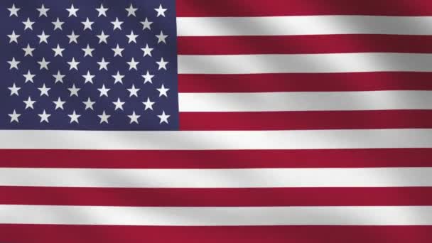 Estados Unidos Bandera País Nación Nacional Viento Bandera Fondo Blanco — Vídeos de Stock