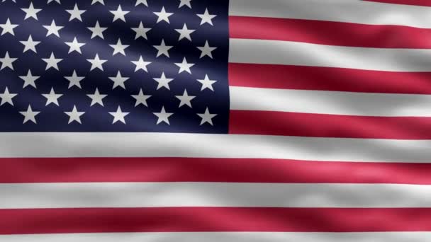 Krásný Výhled Video Vlajkou Spojených Států Amerických Vlajka Mává Videem — Stock video