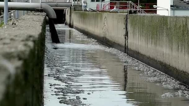 Indústria Resíduos Fábrica Poluição Água Problema — Vídeo de Stock