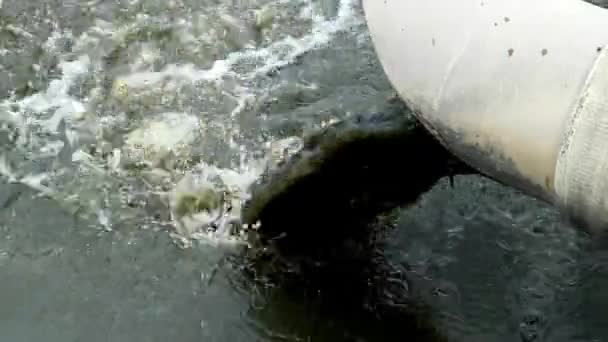 化学水污染 工厂有毒化学废物 — 图库视频影像