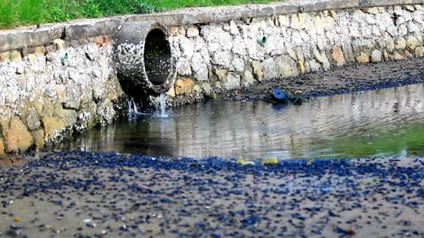 Brudna Woda Spływa Rury Rzeki Zanieczyszczenie Środowiska Odpady Przemysłowe — Wideo stockowe