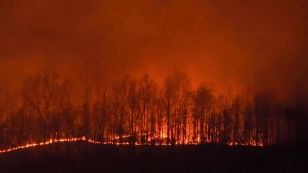 Καταστροφή Από Πυρκαγιά Στην Καλιφόρνια Επικίνδυνη Και Καταστροφική Δασική Πυρκαγιά — Αρχείο Βίντεο