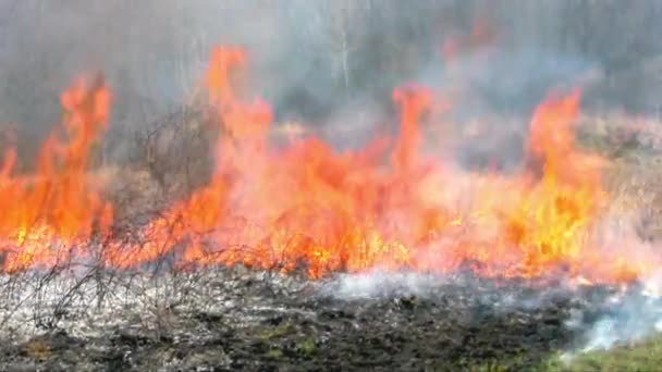 Californie Nord Incendies Incendie Désert Détruit Par Feu — Video
