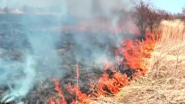北カリフォルニア山火事火災で破壊された砂漠の火災4K — ストック動画