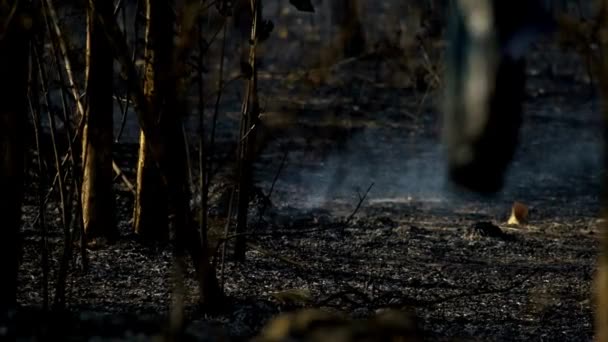 野火烟散去后 4K处有毒气体及火山灰 — 图库视频影像