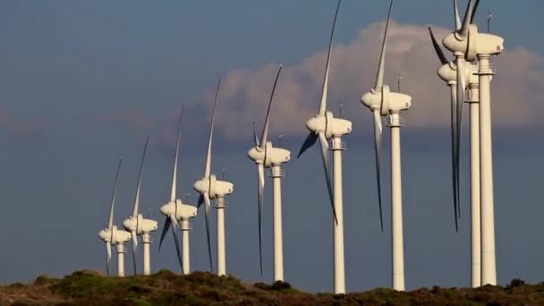 Windenergiecentrale — Stockvideo