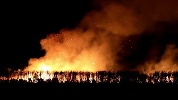 野火が街を荒廃させた 夜空に赤い雲に変わる4K — ストック動画