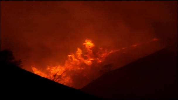Bosque Salvaje Desastre Incendio Ardiente Fuego Rojo Noche Tierra Montaña — Vídeo de stock