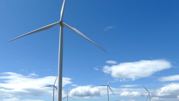 Rüzgar Türbini Tarım Santralleri Yeşil Enerji — Stok video