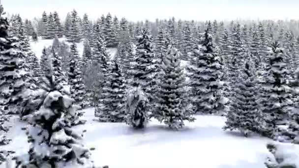 Hutan Salju Alam Pemandangan Putih Bersalju Indah Rekaman — Stok Video