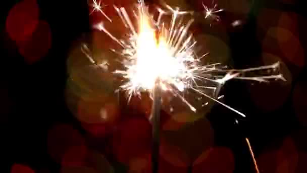 Closeup Single Sparkler Burning Lightening Festive Sparklers Happy Bokeh Gleaming — Stock Video