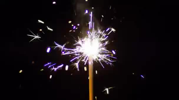 Closeup Fire Spark Sparkler Isolated Black Backgrounds Bengal Fireworks Cinematic — Stock Video