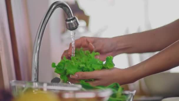 烹饪生活方式健康食品蔬菜健康营养有机食品饮食计数器室内厨房 — 图库视频影像