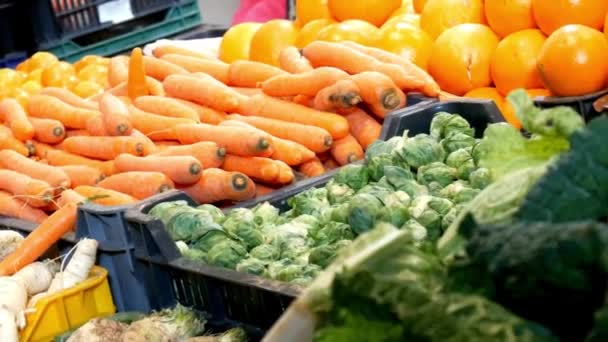Mat Hälsosam Frukt Färsk Kost Matvaror Kök Grönsaker Äta Ekologisk — Stockvideo