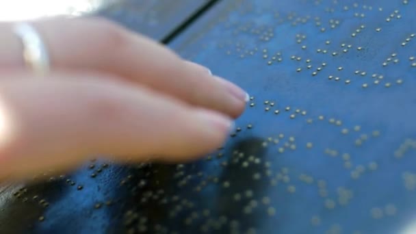Ślepi Czytający Książki Braille Upośledzonymi Wzrokowo Rękami — Wideo stockowe