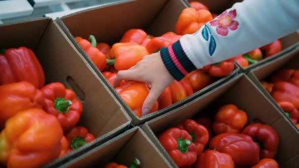 Papel Campana Rojo Tienda Comestibles Verduras Frescas Orgánicas Tienda Comestibles — Vídeo de stock