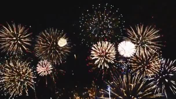 Fogos Artifício Uma Bela Noite Durante Celebrações Fim Ano Fontes — Vídeo de Stock