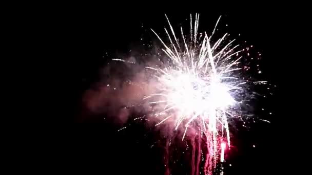 Fajerwerki Piękną Noc Podczas Wakacyjnych Uroczystości Koniec Roku Fontanny Ognie — Wideo stockowe