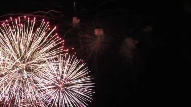 Fireworks Display Celebration Colorful Firework New Year Confetti Black Background — Stock Video