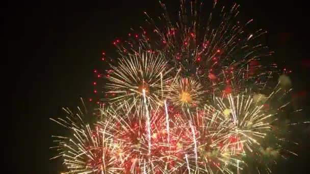 Fogos Artifício Luz Celebração Feriado Noite Festa Natal Brilhante Fogo — Vídeo de Stock