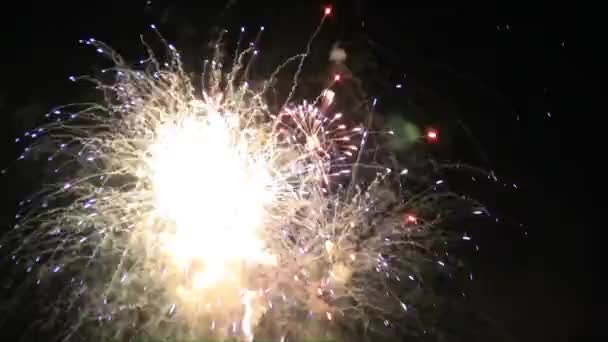Vuurwerk Display Viering Kleurrijk Vuurwerk Nieuwjaar Confetti Zwarte Achtergrond — Stockvideo