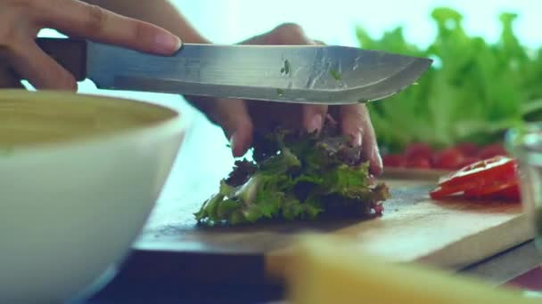 Vaření Člověk Aby Zdravé Jídlo Ruční Zeleninou Ekologický Životní Styl — Stock video