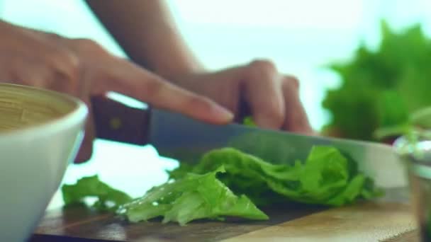Close Preparar Refeições Saudáveis Casa Fazer Refeições Nutritivas Orgânicas Você — Vídeo de Stock