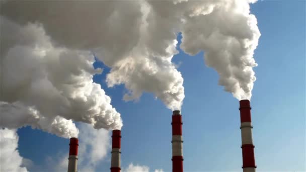 Las Chimeneas Industriales Fábrica Producen Los Gases Tóxicos Que Contaminan — Vídeos de Stock