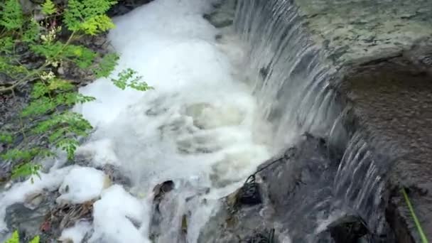 産業廃棄物水の汚染環境ピットダンプ自然 — ストック動画