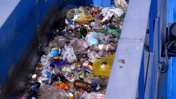 Máquina Eliminación Residuos Fábrica Reciclaje Que Lleva Cinta Transportadora — Vídeo de stock