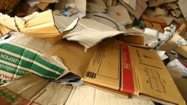Recycling Van Afval Fabrieken Voor Gerecycleerd Materiaal Plastic Fabriek Recyclen — Stockvideo