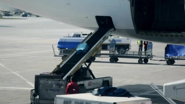 Sacos Bagagem Carga Avião São Transportados Movidos Para Que Visitantes — Vídeo de Stock