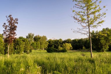 Almaty 'deki Botanik Bahçesi