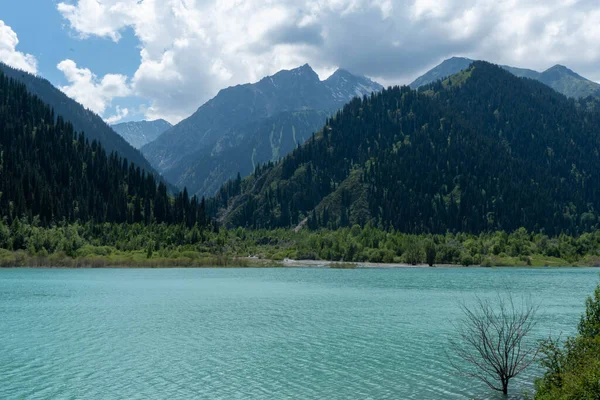Göl ve dağlarla dolu güzel bir manzara.