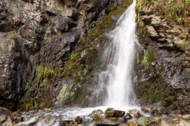 Ormanda güzel bir şelale