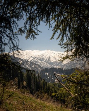Dağların güzel manzarası
