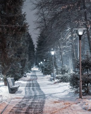 Şehirdeki kış parkı.