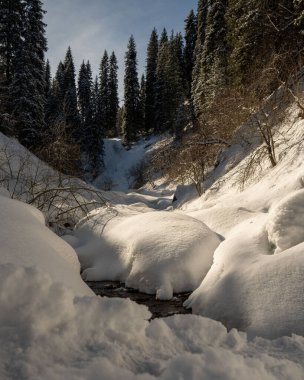 Karla kaplı ağaçlarla kaplı güzel kış manzarası