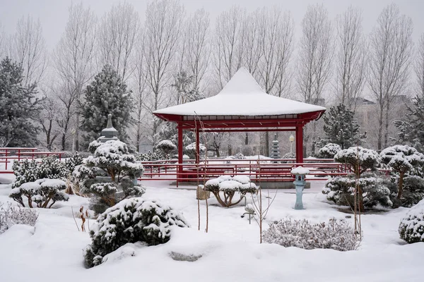 Şehir parkının güzel manzarası