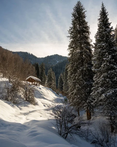 stock image beautiful winter landscape with snow covered trees