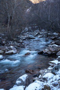 Nehirden akan suyla birlikte dağ deresi.