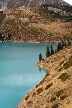 Arkasında karlı dağlar olan güzel bir dağ nehri manzarası.