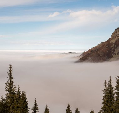 Arkasında karlı dağlar olan güzel bir dağ nehri manzarası.
