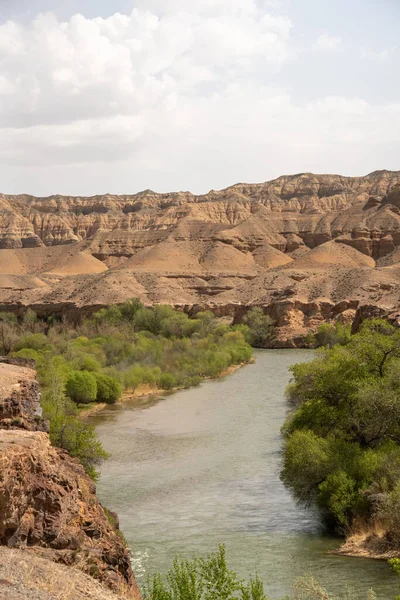 Piękny Krajobraz Rzeki Pustyni — Zdjęcie stockowe